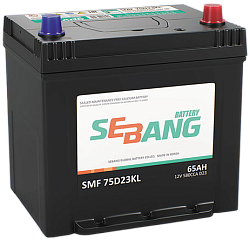 SEB/12V 65Ah (550) EFB ASIA (232x173x225) R+